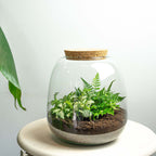 Terrarium Diy Kit - Emma Mini - Diy Kit - ↑ 20 Cm - Ø 19 Cm
