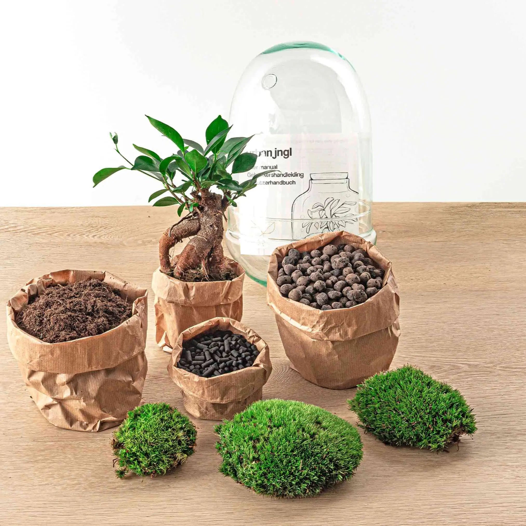 Terrarium Diy Kit - Egg Xl Bonsai - Bottle Garden - ↑ 30 Cm