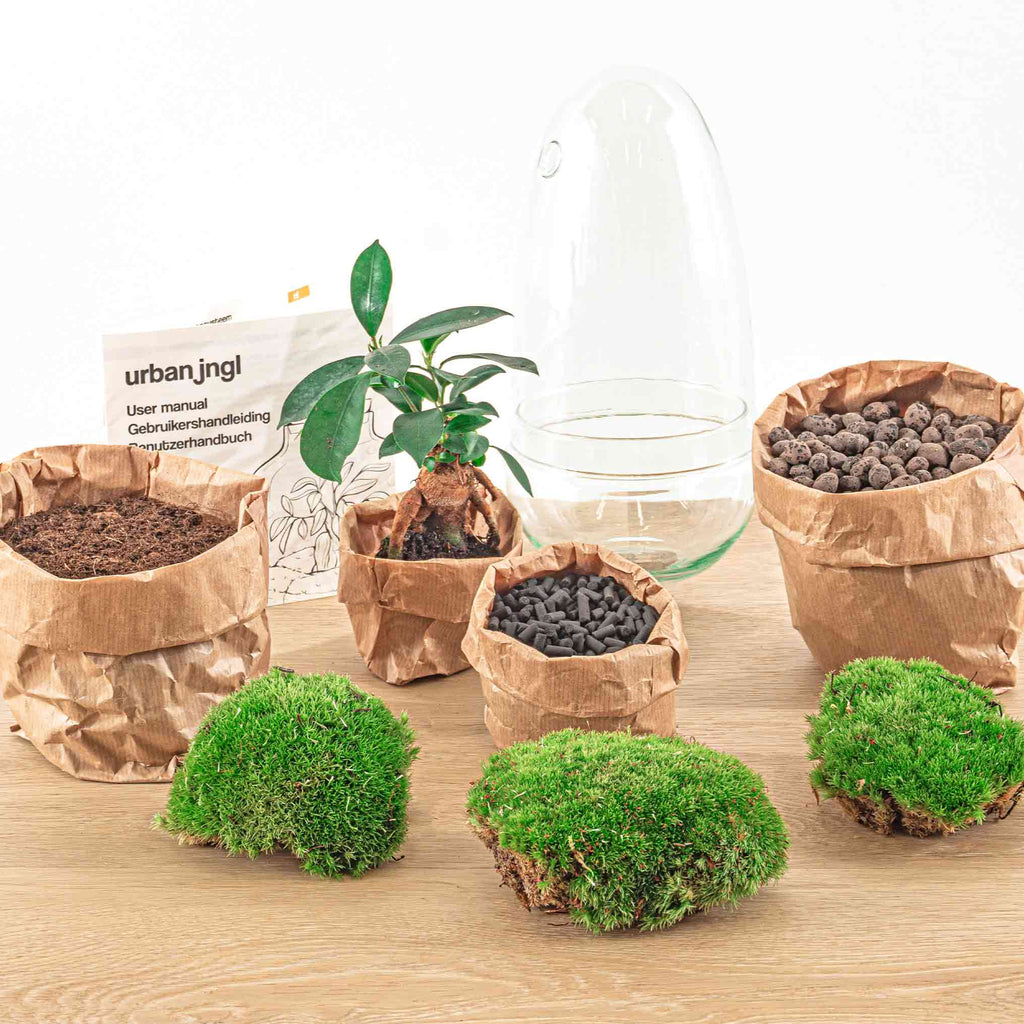 Terrarium Diy Kit - Bottle Garden - ↑ 25 Cm