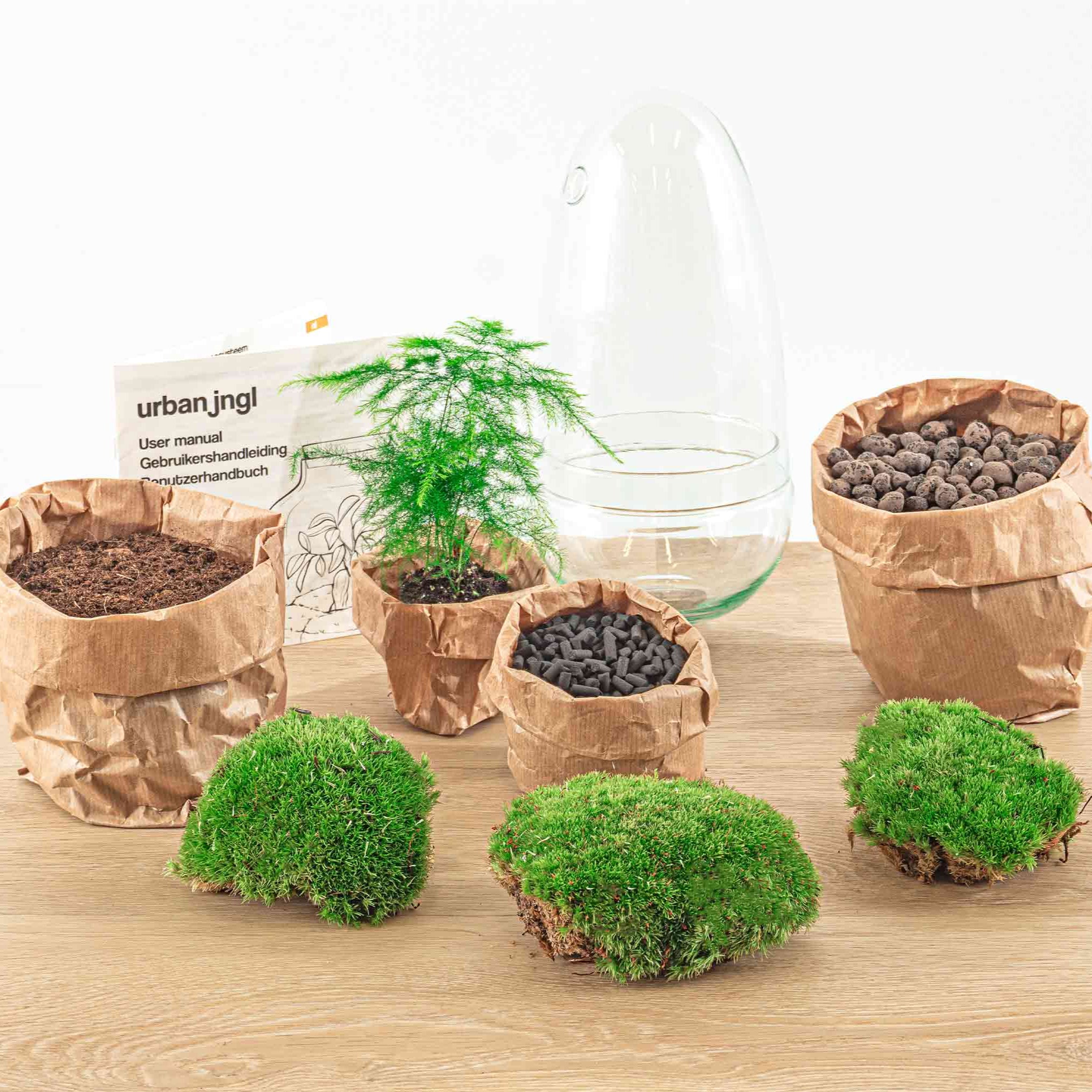 Terrarium Diy Kit - Bottle Garden - ↑ 25 Cm