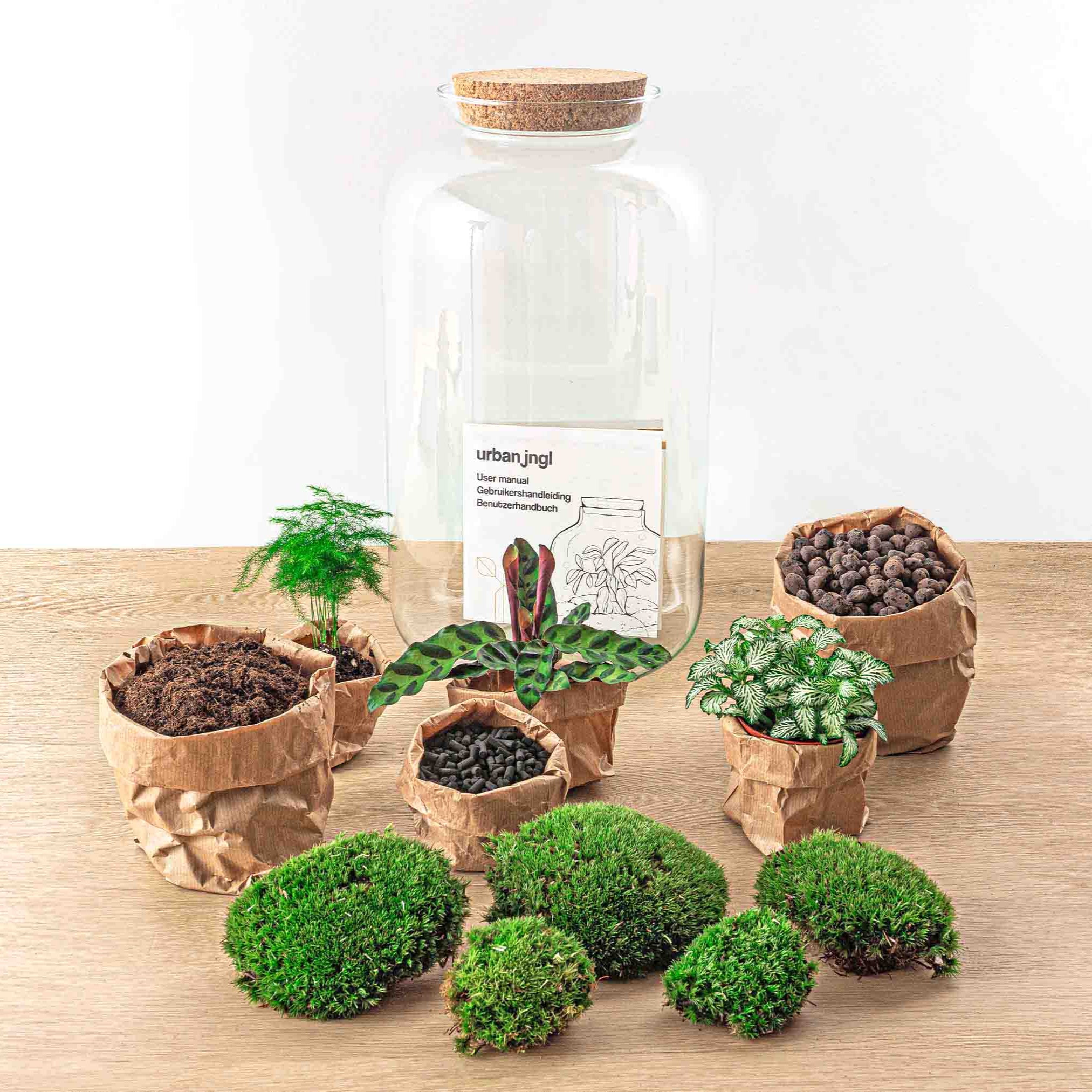 Terrarium Diy Kit - Botanical Sven Xl + Light - Bottle Garden - ↑ 43 Cm