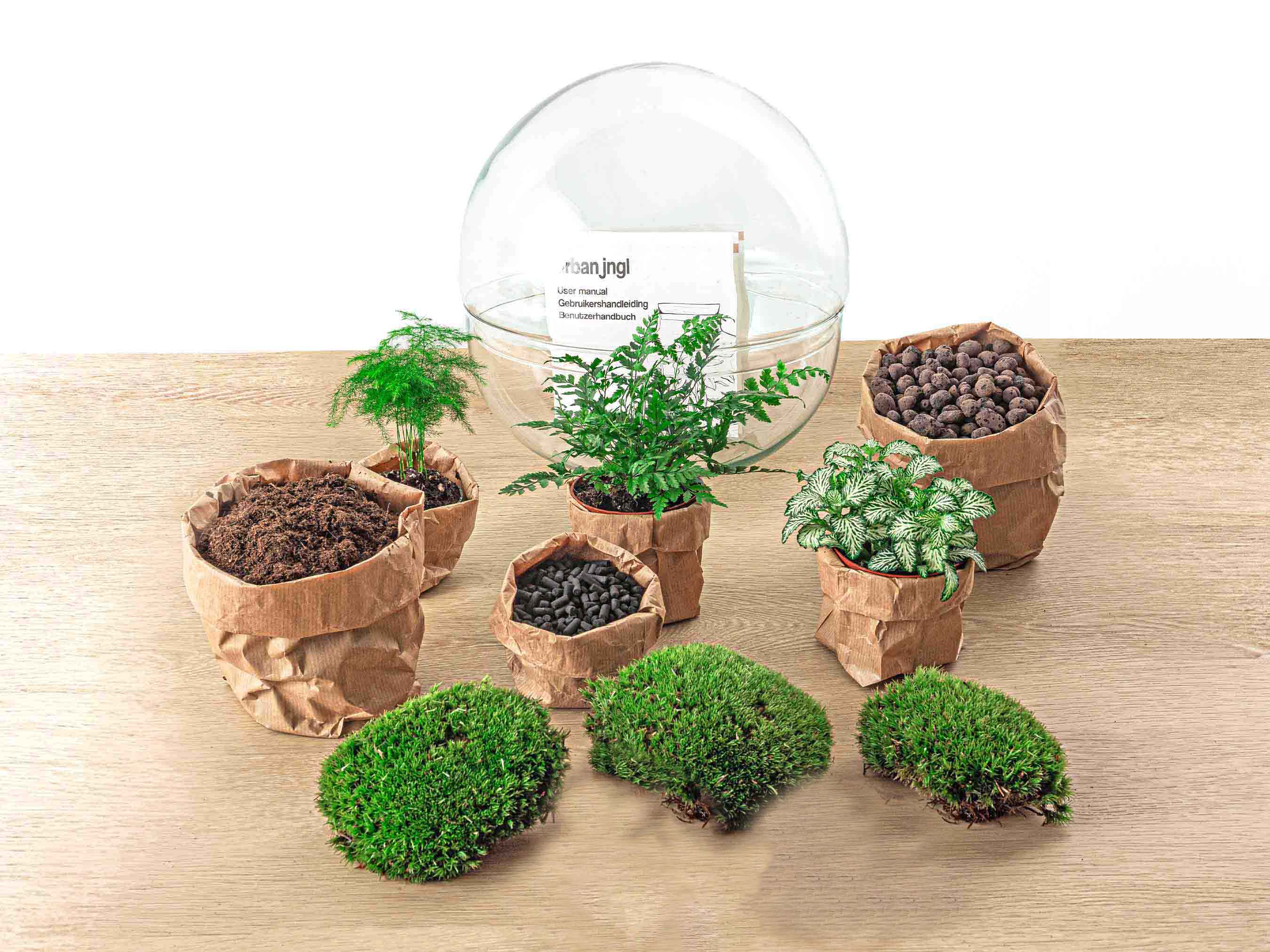 Terrarium Diy Kit - Dome Xl - Bottle Garden - ↑ 28 Cm