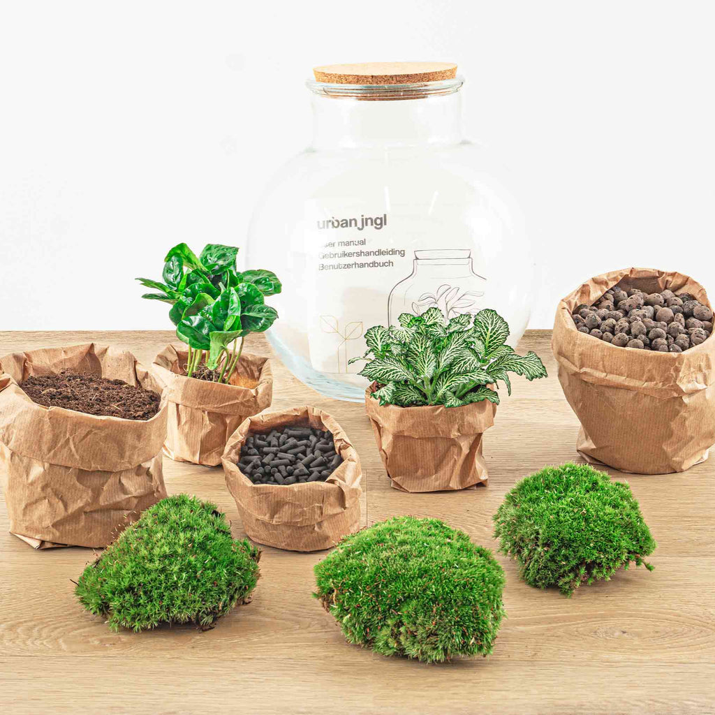 Terrarium Diy Kit - Teddy - Bottle Garden - ↑ 26,5 Cm