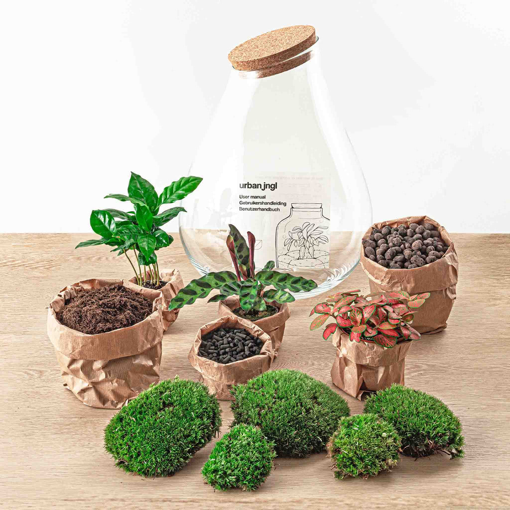 Terrarium Diy Kit - Drop Xxl Red - Bottle Garden - ↑ 43 Cm