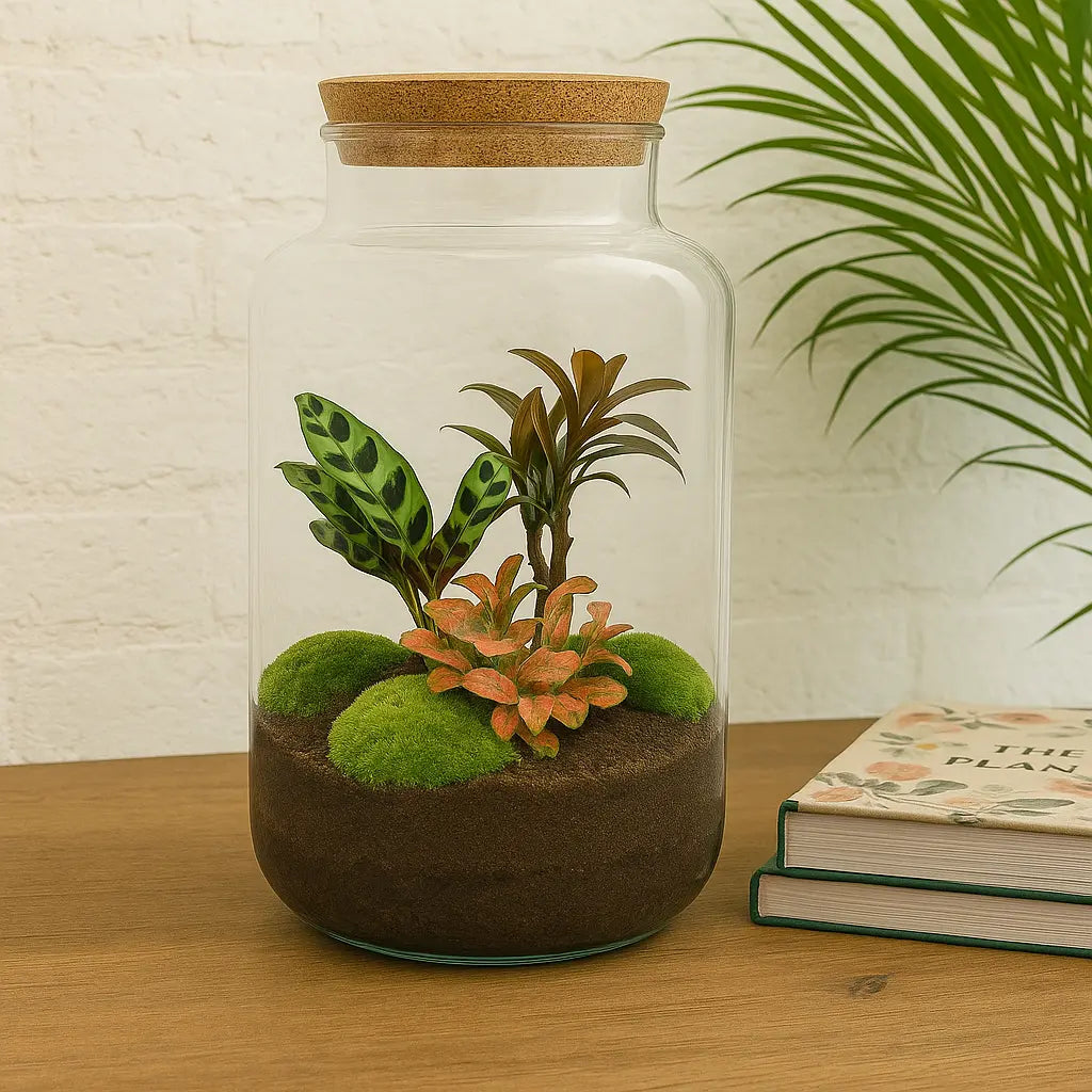 Kit terrarium avec plantes à faire soi-même – Sven XL Palm avec éclairage LED – Hauteur 43 cm